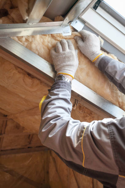 Best Blown-in Insulation  in Dennison, OH