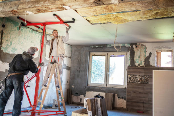 Best Insulation Contractors for Homes  in Dennison, OH