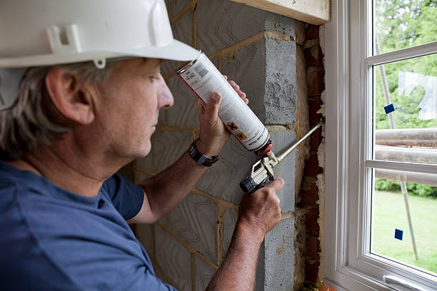 Best Home Insulation Services  in Dennison, OH
