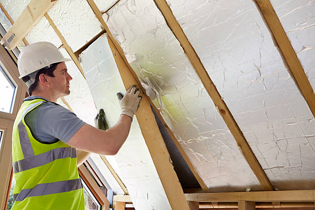 Best Best Insulation Companies  in Dennison, OH