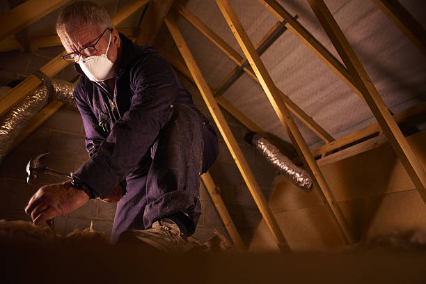 Best Insulation Repair Services  in Dennison, OH